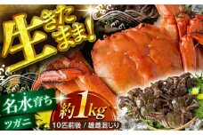 【先行予約】清流鏡川産ツガニ 〈2025年9月～発送〉【土佐の廣丸】 [ATAL002]