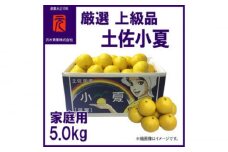 厳選上級品家庭用土佐小夏約5.0kgＭ～Ｌサイズ〈2025年4月～発送〉【グレイジア株式会社】 [ATAC339]