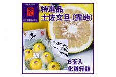 特選品 土佐文旦（露地） 土佐郷（6玉入) | 化粧箱詰〈2025年2月～発送〉【グレイジア株式会社】 [ATAC327]
