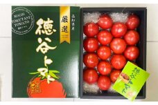 【申込は4月上旬頃まで】濃厚！徳谷トマト約1.0kg 箱詰 生産者指定なし 厳選上級品 【グレイジア株式会社】とまと  高知 フルーツ 果物 高知 【グレイジア株式会社】[ATAC322]