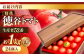 トマト とまと フルーツ 野菜 果物 季節もの 希少 高糖度 甘い 特選 徳谷トマト