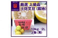 厳選上級品 土佐文旦（露地）／約10kg／２L 上物（秀）〈2025年2月～発送〉【グレイジア株式会社】 [ATAC329]