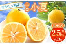 【申込は6月下旬頃まで】土佐小夏約2.5kg 13個前後 Lサイズ 高知 小夏 コナツ こなつ 果物 柑橘 フルーツ みかん 蜜柑 オレンジ 高知県 土佐 ヒュウガナツ ニューサマーオレンジ【フルーツショップオザキ】 [ATAH002]