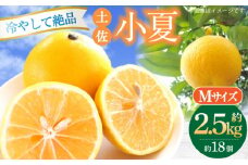 【申込は6月下旬頃まで】土佐小夏 約2.5kg 18個前後 Mサイズ 高知 小夏 コナツ こなつ 果物 柑橘 フルーツ【フルーツショップオザキ】 [ATAH003]