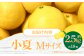 【先行予約】土佐小夏 約2.5kg 18個前後 Mサイズ さわやかな甘さが絶品 ヒュウガナツ ニューサマーオレンジ