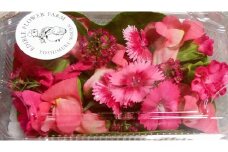 食べるお花・エディブルフラワー/濃いピンクレッド系約20輪【グレイジア株式会社】 [ATAC268]