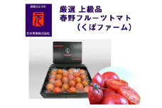 春野フルーツトマト（くぼファーム）厳選上級品／約1kg（約20玉）〈2025年1月～発送〉【グレイジア株式会社】 [ATAC325]