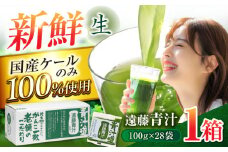 遠藤青汁 【生】 冷凍 1箱 (100g×28袋) / 健康 美容 乳酸菌 ケール ビタミン ミネラル 食物繊維 冷凍 青汁 遠藤青汁 新鮮 高知市 【グレイジア株式会社】 [ATAC001]