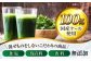 遠藤青汁 【生】 冷凍 1箱 (100g×28袋) / 健康 美容 乳酸菌 ケール ビタミン ミネラル 食物繊維 冷凍 青汁