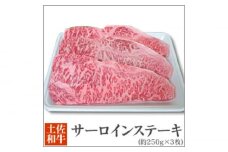土佐黒毛和牛 サーロインステーキ (約250g×3枚) 【株式会社 四国健商】 [ATAF043] すてーき ステーキ肉 牛肉 国産 ブランド 和牛 黒毛和牛