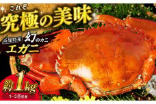 浦戸湾産 エガ二 1キロ前後 【土佐の廣丸】 [ATAL001]