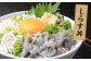 高知産「生シラス」イワシ稚魚約100g×5パック入り (タレ付) [ATBX003]