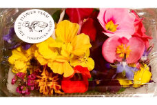 食べるお花・エディブルフラワー/おまかせパック約20輪入り【グレイジア株式会社】 [ATAC266]