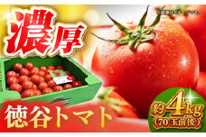 【申込は4月上旬頃まで】濃厚！徳谷トマト約4.0kg 箱詰 | 生産者指定なし 厳選上級品 元木青果 ＜2025年2月中旬頃以降発送＞ 【グレイジア株式会社】とまと  高知 フルーツ 果物 高知 大容量[ATAC324]