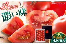 【申込は5月下旬頃まで】リサフルーツトマト 約2kg トマト とまと 野菜〈2025年1月より発送開始〉 【株式会社 堀】[ATDA003]