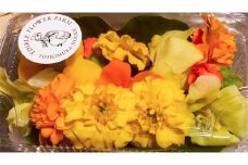 食べるお花・エディブルフラワー/イエローオレンジ系約20輪【グレイジア株式会社】 [ATAC271]