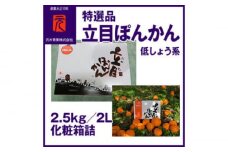 特選品立目ぽんかん（低しょう系） | 約2.5kg 2L 化粧箱詰 〈2025年1月～発送〉【グレイジア株式会社】 [ATAC333]