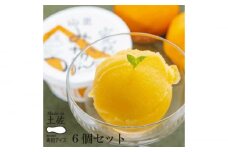 Made in 土佐 高知アイス 完熟山北みかんシャーベット6個 ミカン 完熟みかん〈2025年4月～発送〉【グレイジア株式会社】 [ATAC383]　アイス キャンデー バラエティ 詰め合わせ スイーツ おやつ 高知 アイス お取り寄せ 人気