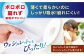 【2ケース】3倍長持ち トイレットペーパー サンハニー (無地ホワイト) /トイレットペーパー シングル パルプ
