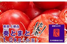 【先行予約】フルーツトマト「奏 (かなで) とまと」 (小玉) 約1kg化粧箱入 土佐郷 〈2025年7月下旬頃より発送〉 【グレイジア株式会社】 [ATAC320]