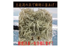 ちりめんじゃこ (上干) 約300g鮮度日本一を目指します！浜で瞬時に釜揚げ 【グレイジア株式会社】 [ATAC424]