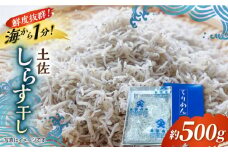 しらす干し 約500g 浜で瞬時に釜出し 高知のしらす 【グレイジア株式会社】 [ATAC076]　シラス 新鮮  国産 魚 海鮮 簡単調理 時短 高知 しらす