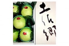 特選品　水晶文旦　約３kg（５玉入り）　化粧箱入　土佐郷ブランド〈2025年9月～発送〉【グレイジア株式会社】 [ATAC342]