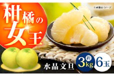 高知県産 水晶文旦 約3kg 6玉入 〈2024年9月～発送〉【株式会社　四国健商】 [ATAF032]柑橘の女王　柑橘 かんきつ 甘い 酸っぱい 