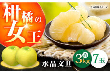 高知県産 水晶文旦 約3kg 7玉入 〈2024年9月～発送〉 【株式会社　四国健商】 [ATAF031]柑橘の女王　柑橘 かんきつ 甘い 酸っぱい 