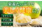 柑橘の女王　柑橘 かんきつ 甘い 酸っぱい 
