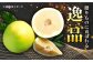 柑橘の女王　柑橘 かんきつ 甘い 酸っぱい 