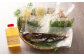 鉄丸の高知野菜てんこもりカツオの田舎タタキB 【ごはんや　鉄丸】 [ATCA002]