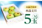 南国土佐の女王柑橘 水晶文旦 約3kg 5玉入り 文旦 ぶんたん フルーツ 果物 3キロ 高知県
