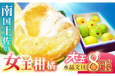 南国土佐の女王柑橘 水晶文旦 約5kg 8玉入り〈2025年9月中旬～2025年12月下旬頃発送〉/ 大玉サイズ 文旦 ぶんたん フルーツ 果物 5キロ 高知県〈2024年9月～発送〉 【フルーツショップオザキ】 [ATAH009]