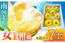 【先行予約】南国土佐の女王柑橘 水晶文旦 約3kg 7玉入り〈2025年9月中旬～2025年12月下旬頃発送〉/ 文旦 ぶんたん フルーツ 果物 3キロ 高知県〈2024年9月～発送〉【フルーツショップオザキ】 [ATAH006]