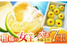 南国土佐の女王柑橘 水晶文旦 約5kg 7玉入り 大玉サイズ ぶんたん 文旦 フルーツ 高知名物 果物〈2024年9月～発送〉 【フルーツショップオザキ】 [ATAH010]