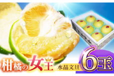 【先行予約】南国土佐の女王柑橘 水晶文旦 約3kg 6玉入り〈2025年9月中旬～2025年12月下旬頃発送〉/ ぶんたん 文旦 フルーツ 高知名物 果物〈2024年9月～発送〉 【フルーツショップオザキ】 [ATAH007]