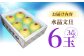 南国土佐の女王柑橘 水晶文旦 約3kg 6玉入り ぶんたん 文旦 フルーツ 高知名物 果物〈2024年9月～発送〉 【フルーツシ