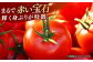 トマト とまと フルーツ 野菜 果物 季節もの 希少 高糖度 甘い 特選 徳谷トマト