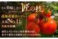 トマト とまと フルーツ 野菜 果物 季節もの 希少 高糖度 甘い 特選 徳谷トマト