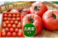 トマト とまと フルーツ 野菜 果物 季節もの 希少 高糖度 甘い 特選 徳谷トマト