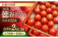 トマト とまと フルーツ 野菜 果物 季節もの 希少 高糖度 甘い 特選 徳谷トマト