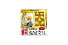高知特産　温室（ハウス）土佐文旦　約3kg・7玉入〈2024年11月下旬から発送〉【株式会社四国健商】 [ATAF037] 柑橘 かんきつ 甘い 酸っぱい