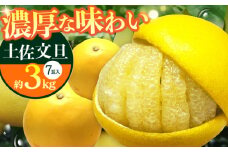 南国高知温室 土佐文旦 約3kg 7玉 文旦 ぶんたん フルーツ 果物 3キロ 高知県 【フルーツショップオザキ】[ATAH011]