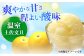 【先行予約】南国高知温室 土佐文旦 約3kg 7玉 文旦 ぶんたん フルーツ 果物 3キロ 高知県