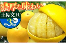 南国高知温室土佐文旦 約3kg 6玉 文旦 ぶんたん フルーツ 果物 3キロ 高知県 【フルーツショップオザキ】[ATAH012]