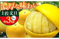 南国高知温室土佐文旦 約3kg 5玉 文旦 ぶんたん フルーツ 果物 3キロ 高知県 【フルーツショップオザキ】[ATAH013]