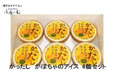 かったし かぼちゃのアイス 6個セット 南瓜アイス カボチャアイス 野菜 アイス 土佐 【グレイジア株式会社】 [ATAC375-01]　アイス キャンデー バラエティ 詰め合わせ スイーツ おやつ 高知 アイス お取り寄せ 人気