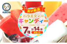 バラエティーキャンデーセットA アイス ギフト セット / フルーツ アイス キャンデー アイスクリーム 苺 ミルク 柚子 ゆず バナナ 宇治金時 抹茶 あずき ぶしゅかん フルーツ 果物 バラエティ セット 詰め合わせ ギフト 贈り物 プレゼント お取り寄せ 高知 【グレイジア株式会社】 [ATAC202]