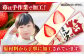 苺とミルクのアイスキャンデー 20本入 / 久保田食品 アイス  アイスクリーム  菓子  [ATAC213]